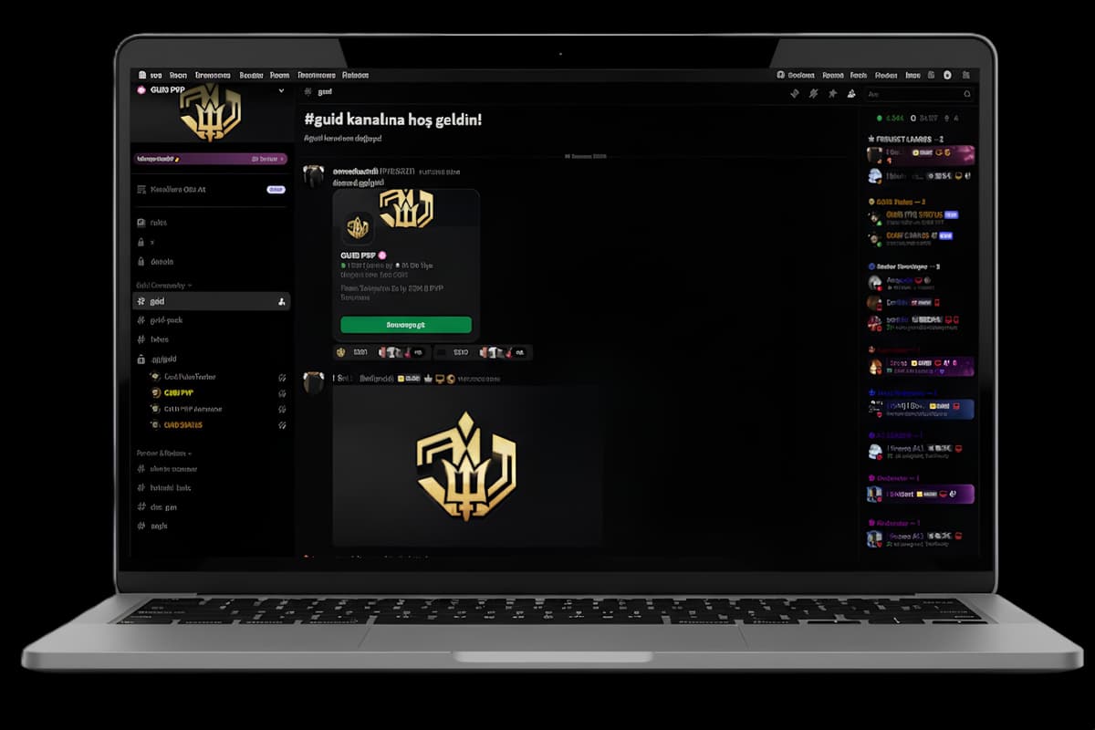 GUİD PVP PC Görünümü